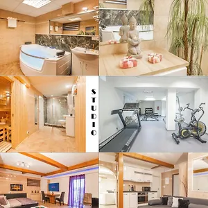 Wellness Studio! Finnish Sauna, Whirlpool, Gym & More! Prag